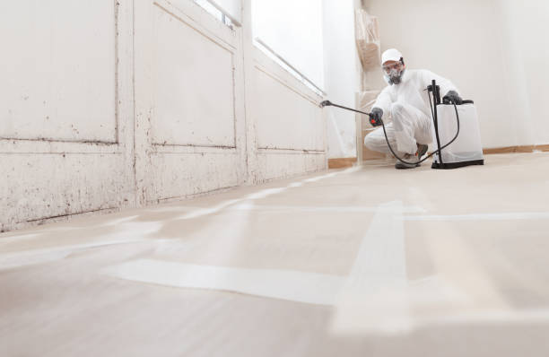 Black mold remediation team in Narberth